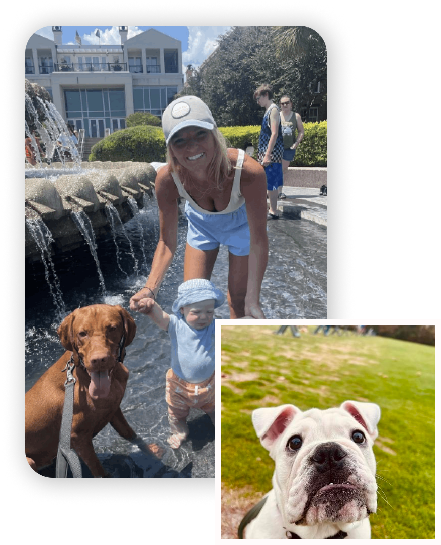 Poseidon K9 Dog Training Poseidon K9 Dog Training